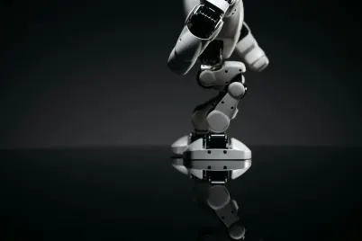 카지노 크립토 와일드 모바일 앱